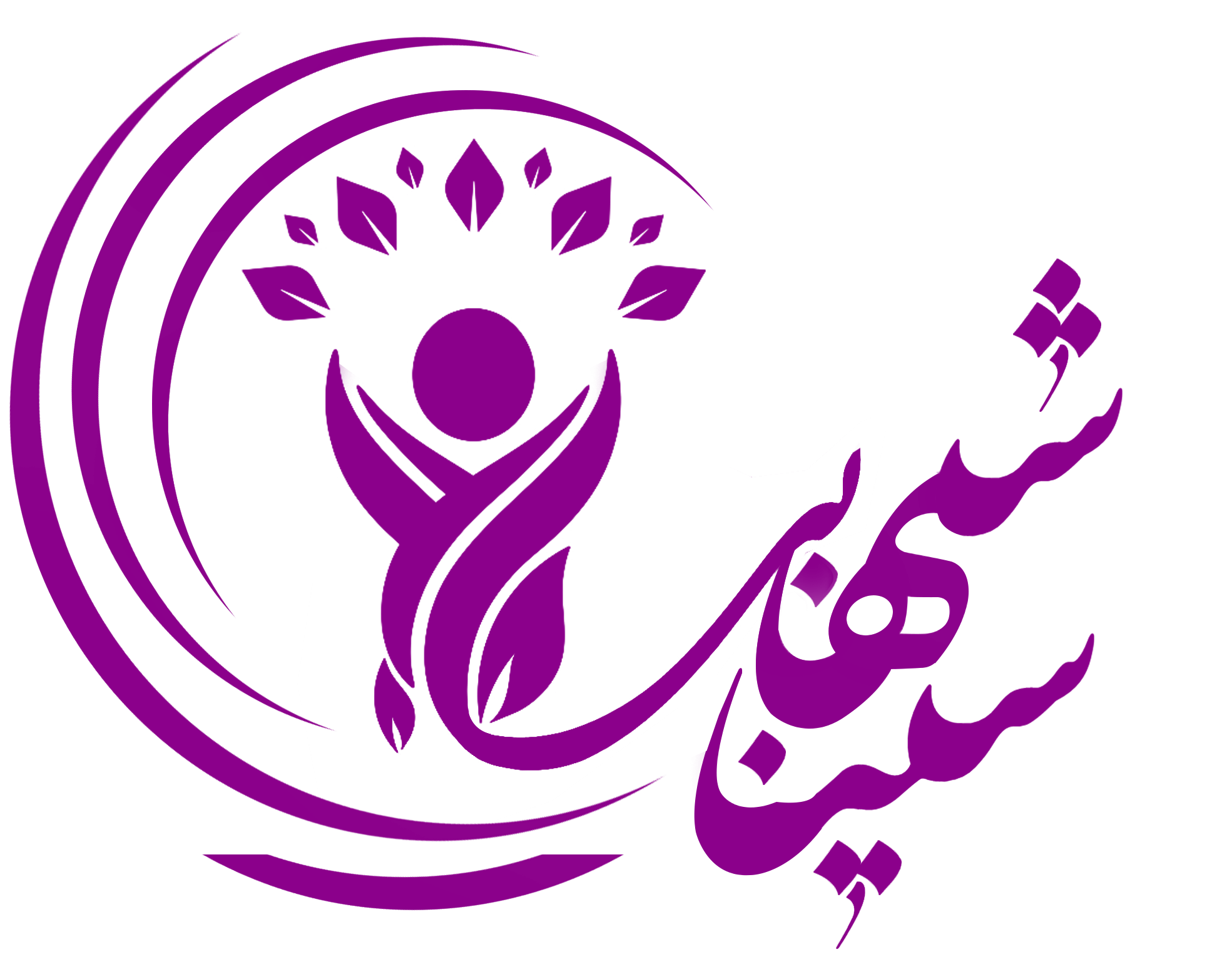 آکادمی سینا شهابی